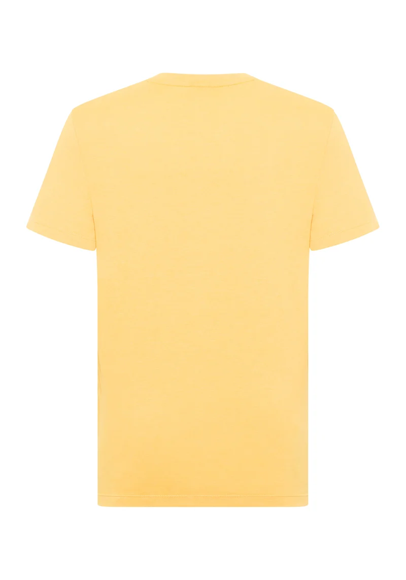 Elbsand Men T-Shirt Ingvar mineral yellow melange