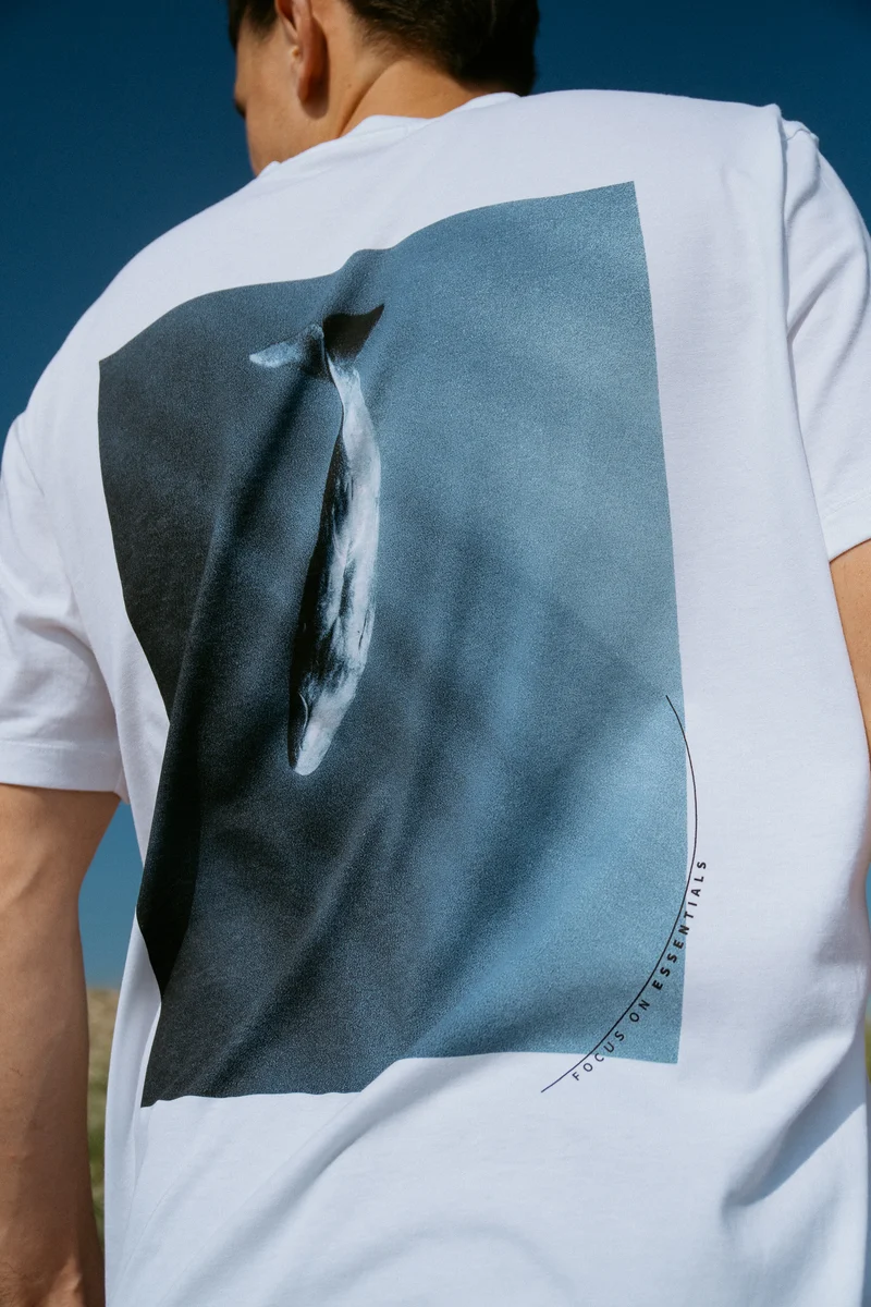 T-Shirt Whale