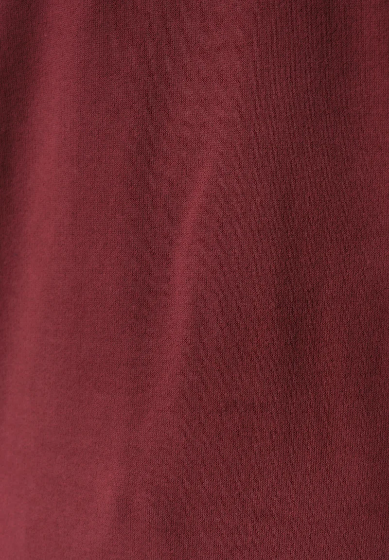 SCOTT | Sweatshirt aus Bio-Baumwolle