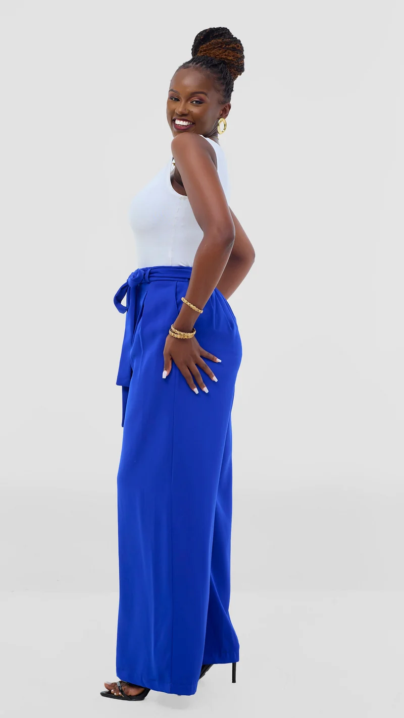 Poised Palazzo Pants - Blue