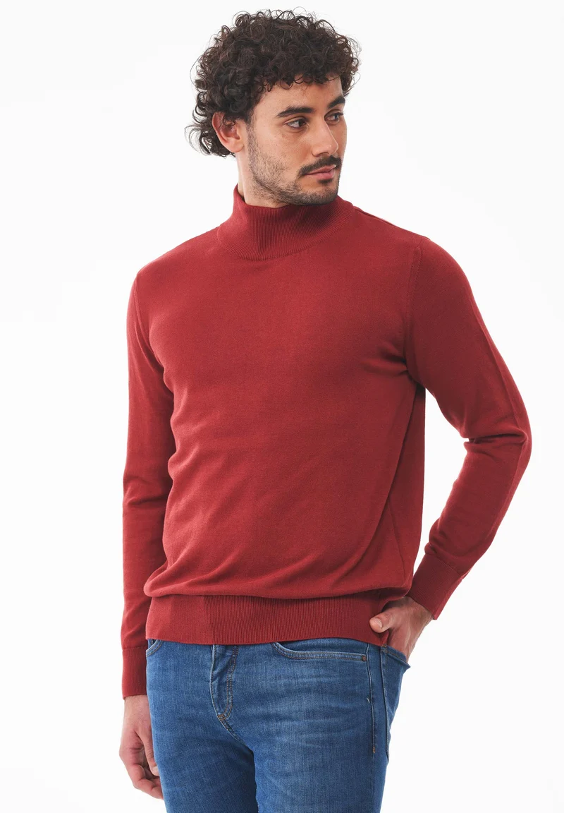 Rollkragenpullover aus Bio-Baumwolle