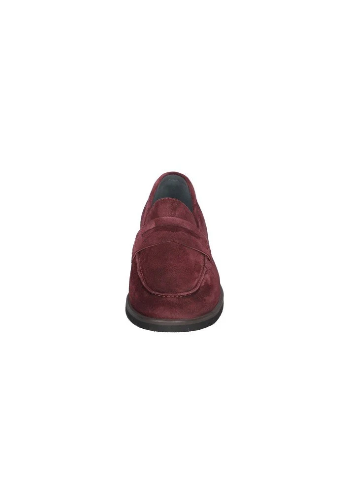 - H-Aria - 247-99-0016