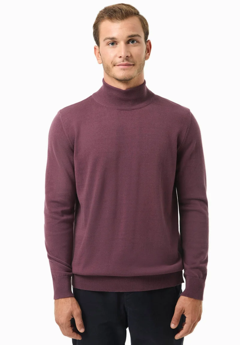 Rollkragenpullover aus Bio-Baumwolle