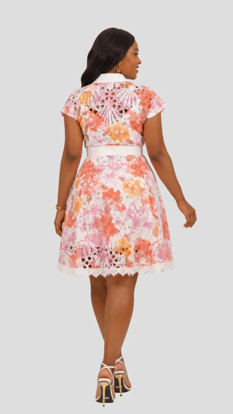 The Fashion Frenzy Lunara Lace Collar Dress - Pink
