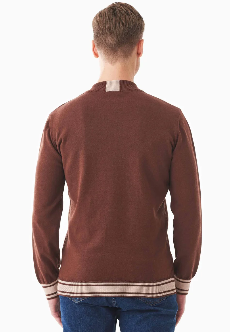 Pullover aus Bio-Baumwolle mit Troyerkragen