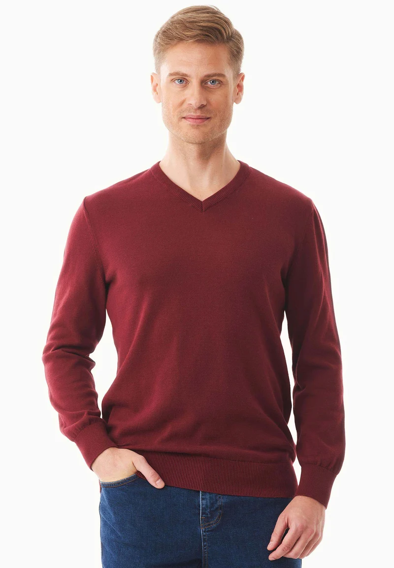 Pullover aus Bio-Baumwolle mit V-Ausschnitt