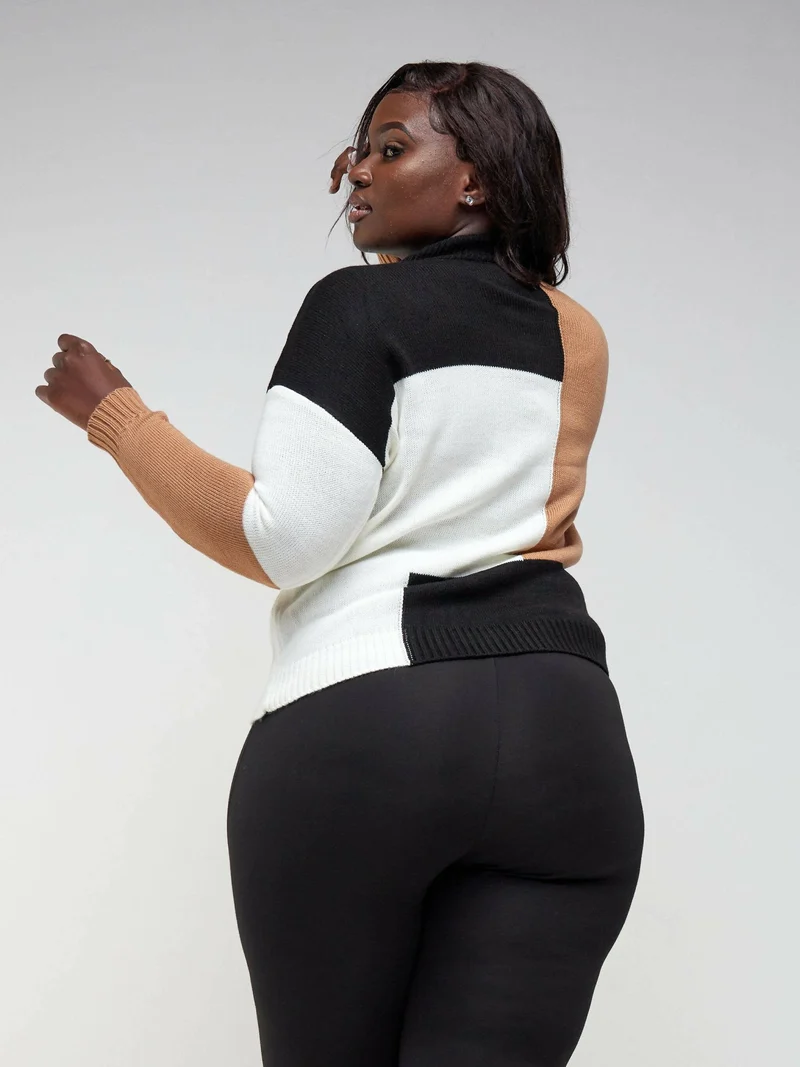 The Fashion Frenzy Full Neck Pullover - Brown ColourBlock