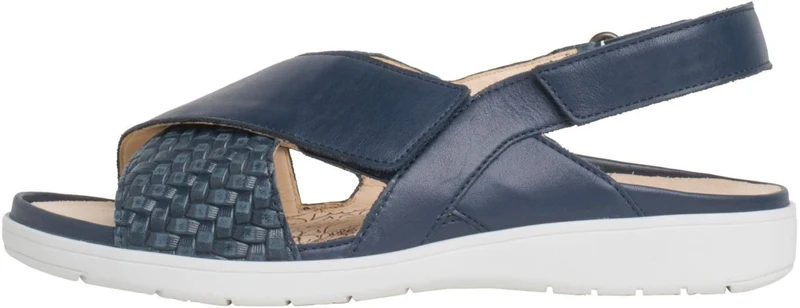 Ganter blau