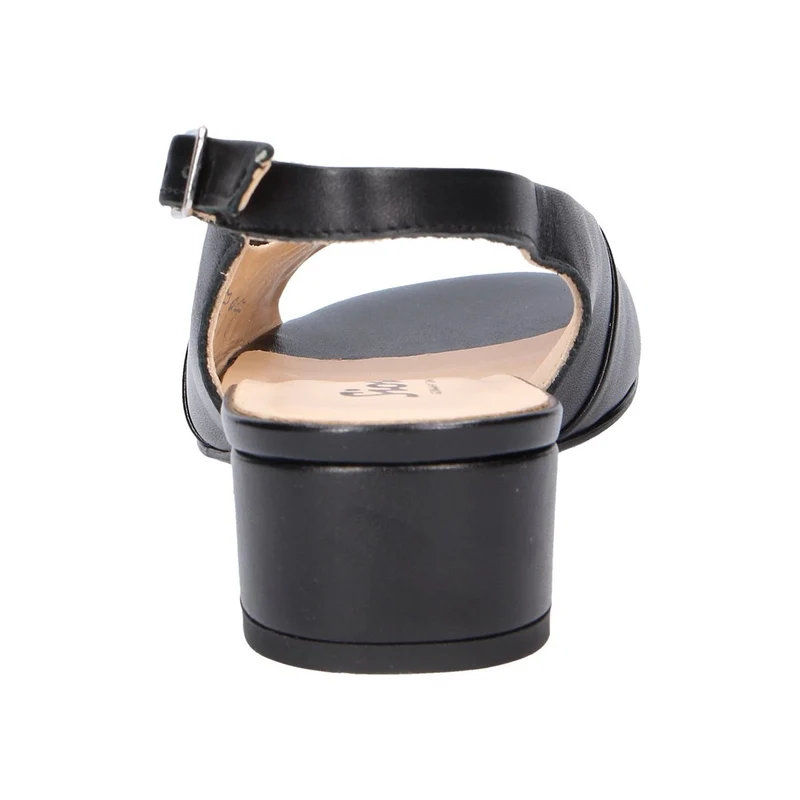 - Zippora Schwarz - 17-006-1-29-01 : 5