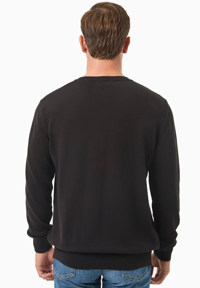 Pullover aus Bio-Baumwolle mit V-Ausschnitt