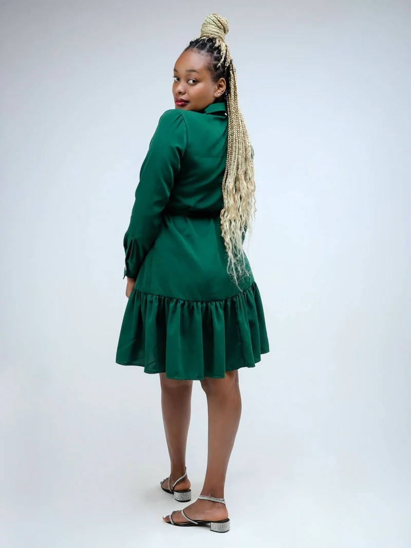 Phyls Collections Sheila Shirt Knee Length Dress - Green