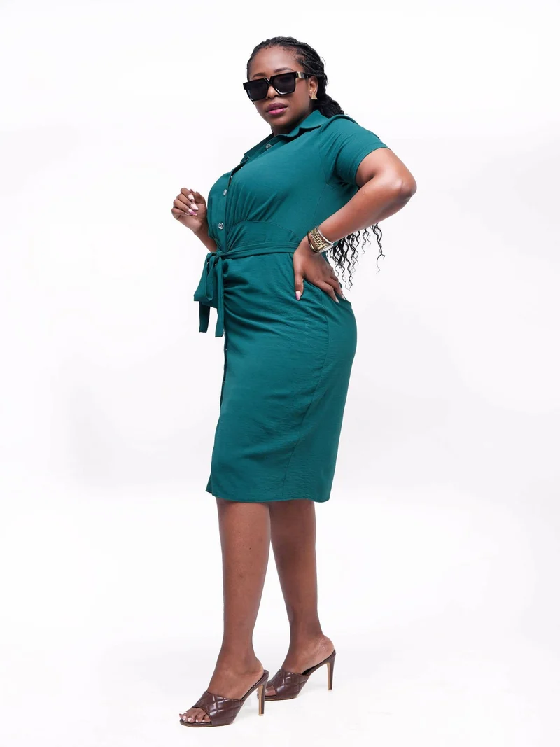 Phyls Collections Nate Knee Length Shirt Dress - Green