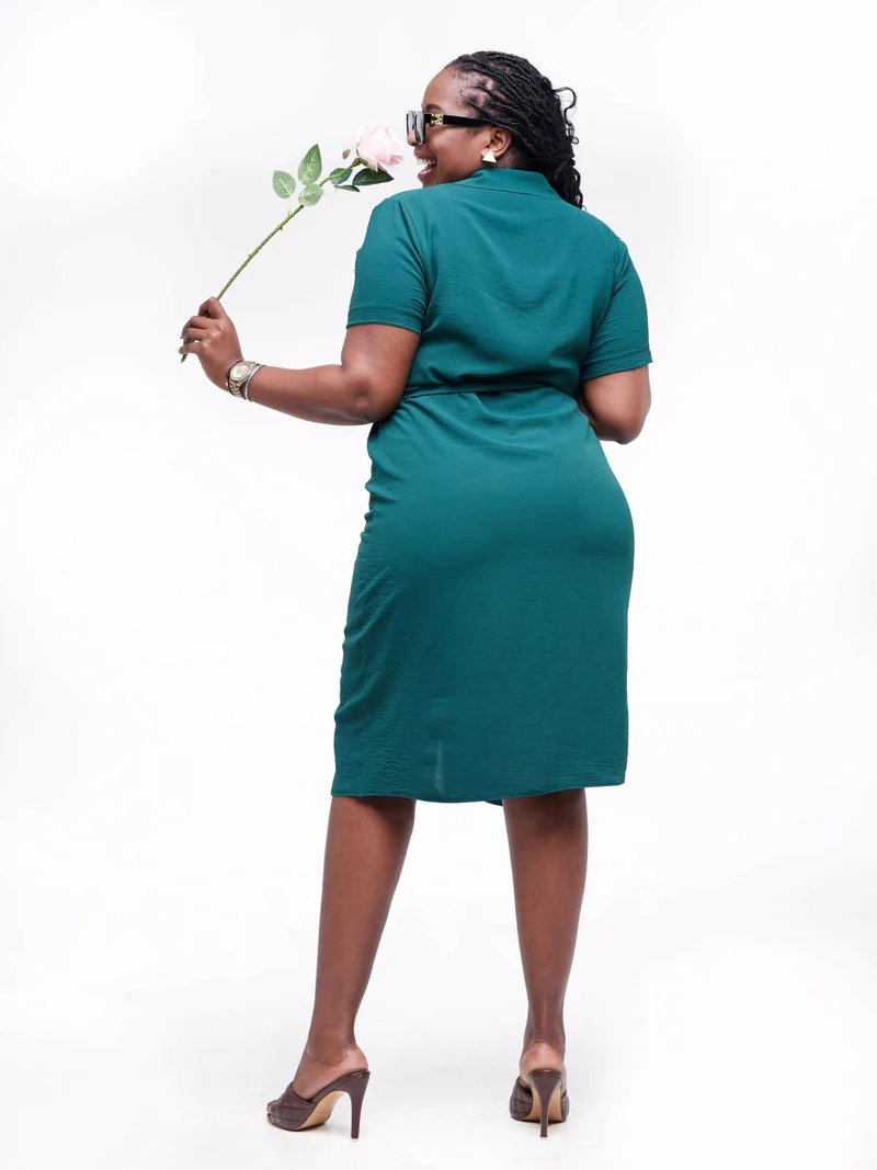 Phyls Collections Nate Knee Length Shirt Dress - Green