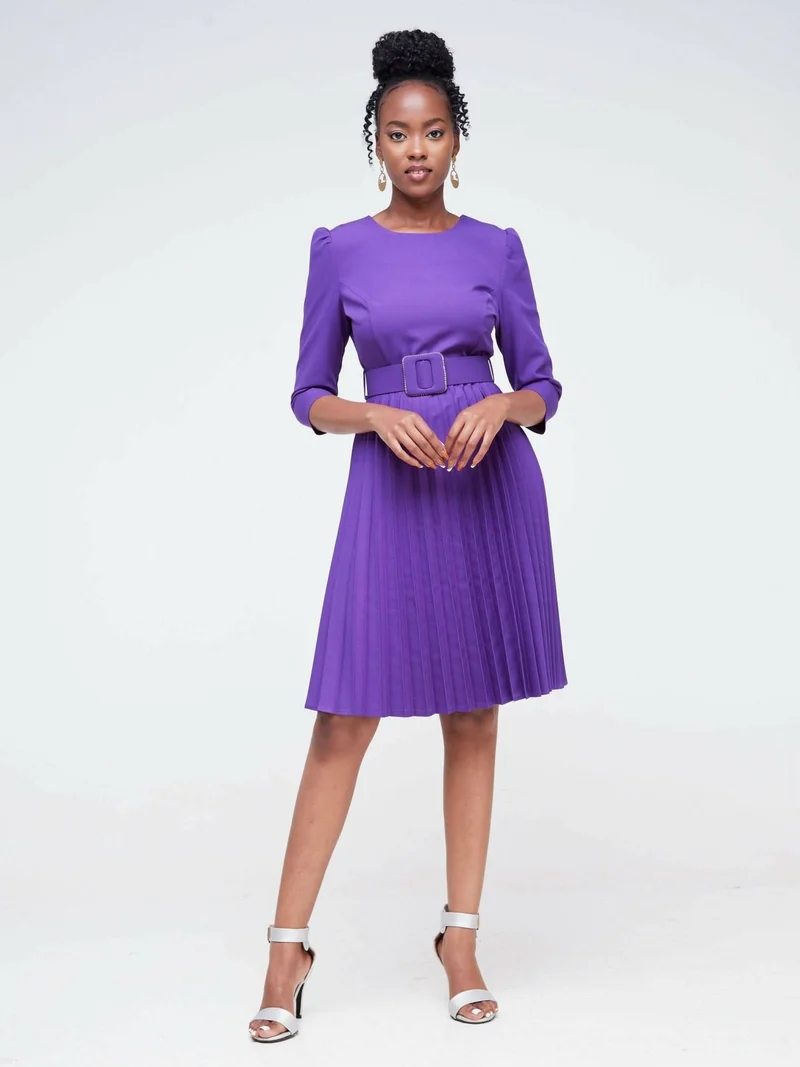 The Fashion Frenzy Pleated Skater Dress - Purple