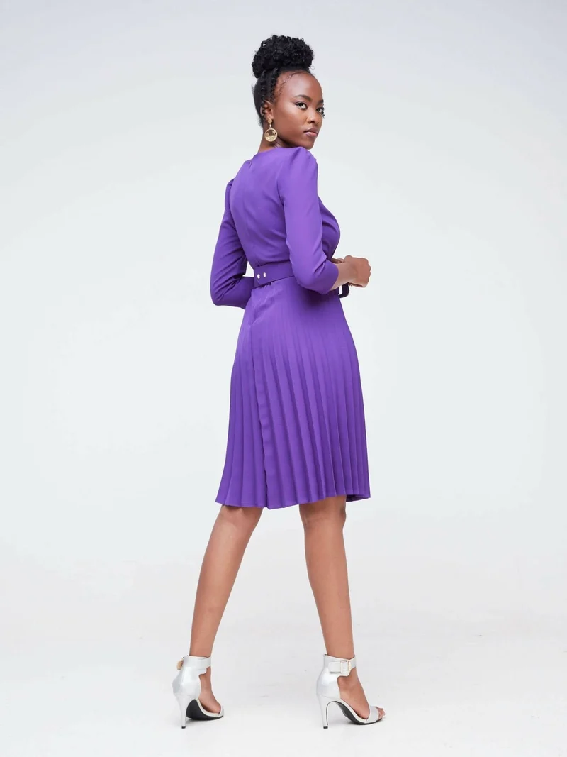 The Fashion Frenzy Pleated Skater Dress - Purple