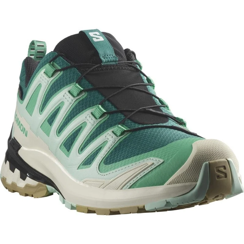 XA Pro 3D V9 GTX Wanderhalbschuhe grün Damen