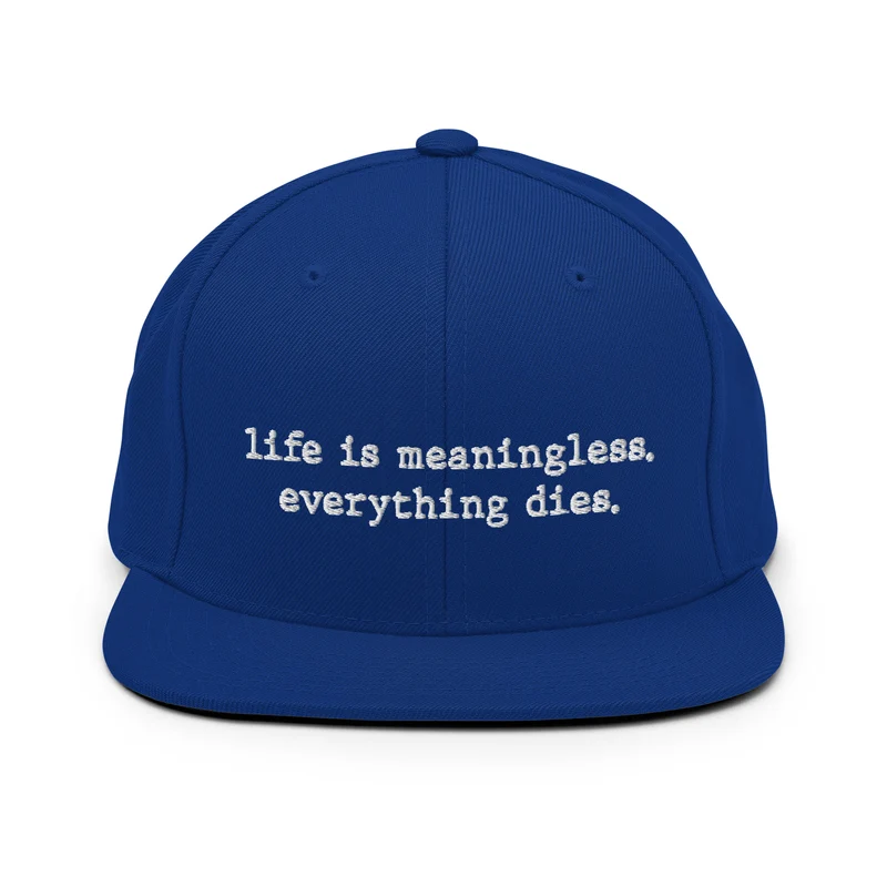 Life is meaningless, Everything dies - Snapback Hat
