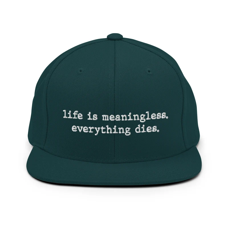 Life is meaningless, Everything dies - Snapback Hat