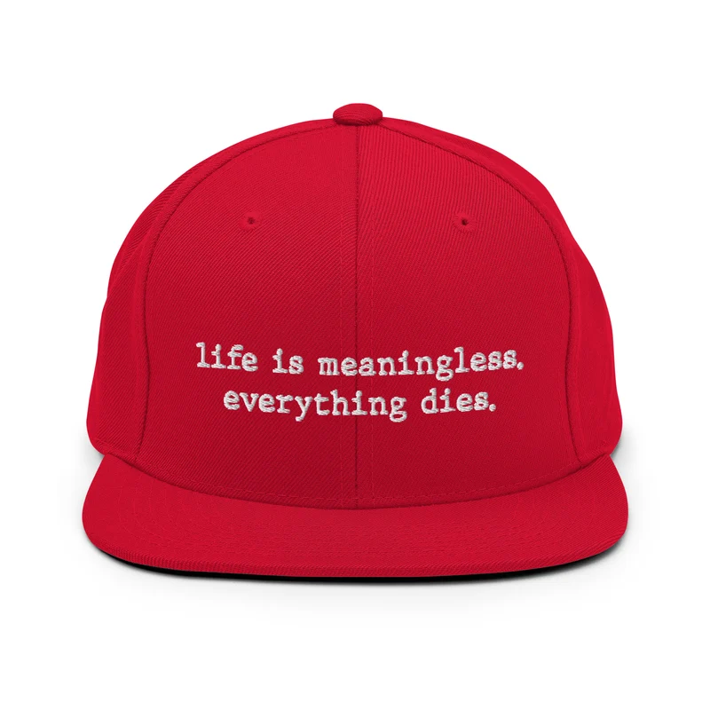 Life is meaningless, Everything dies - Snapback Hat