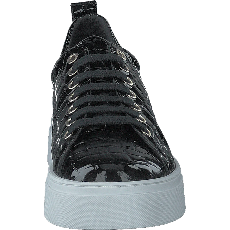 Coacig Blanco Boston Zafiro Negro