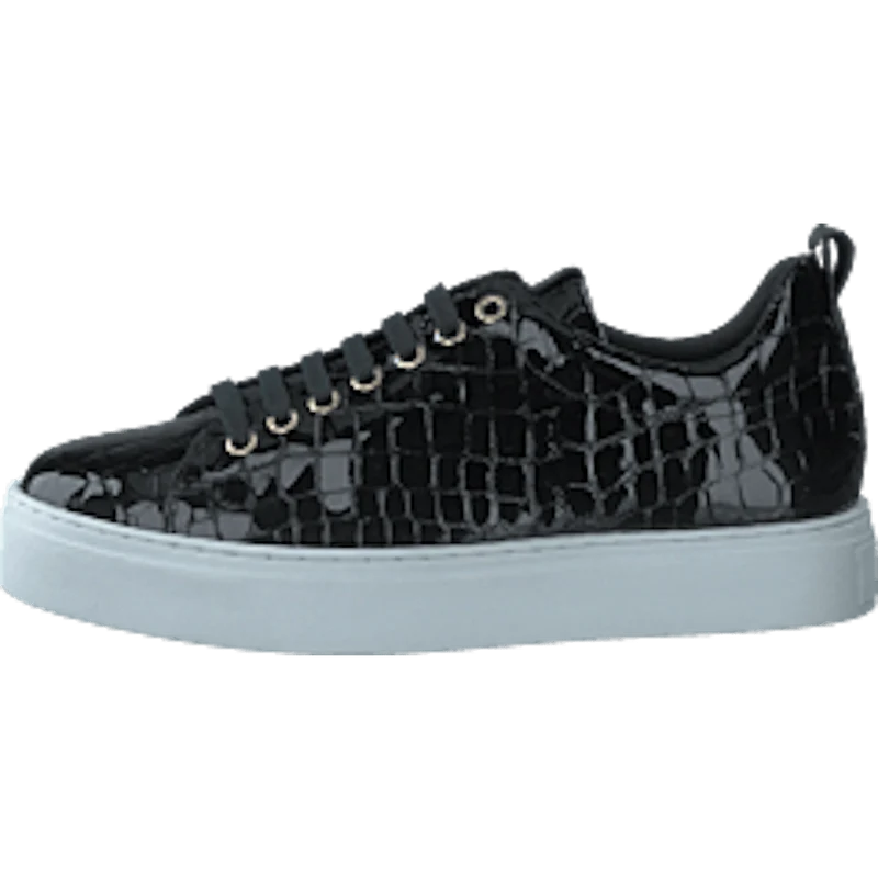 Coacig Blanco Boston Zafiro Negro