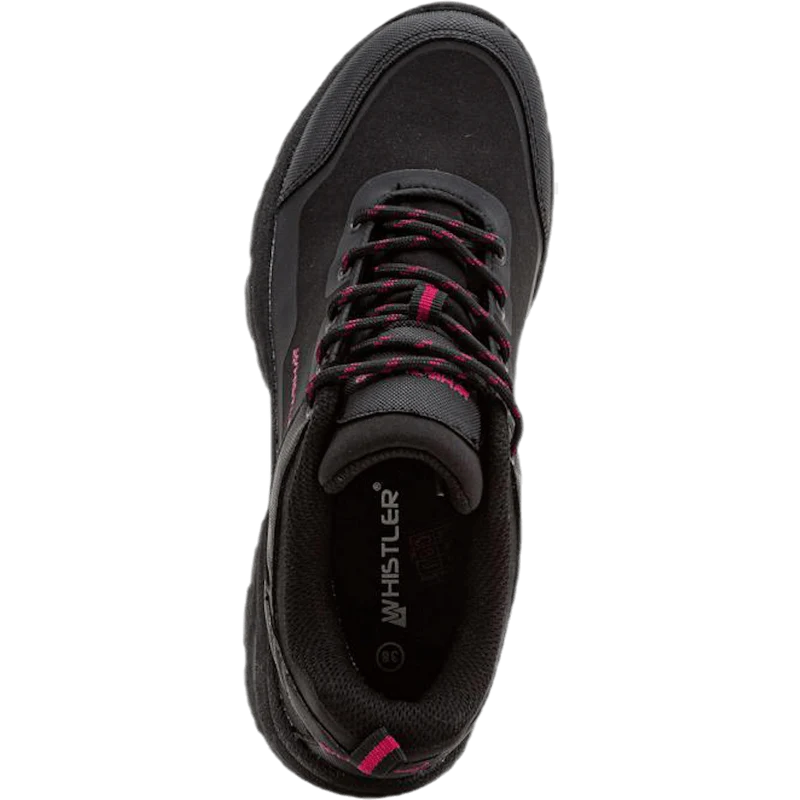 Lake Low Cut Ice shoe Black