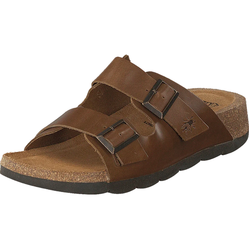 Caja721fly Camel