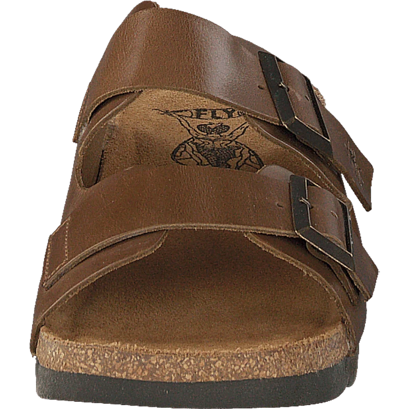 Caja721fly Camel