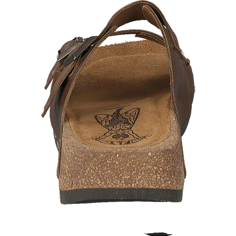 Caja721fly Camel