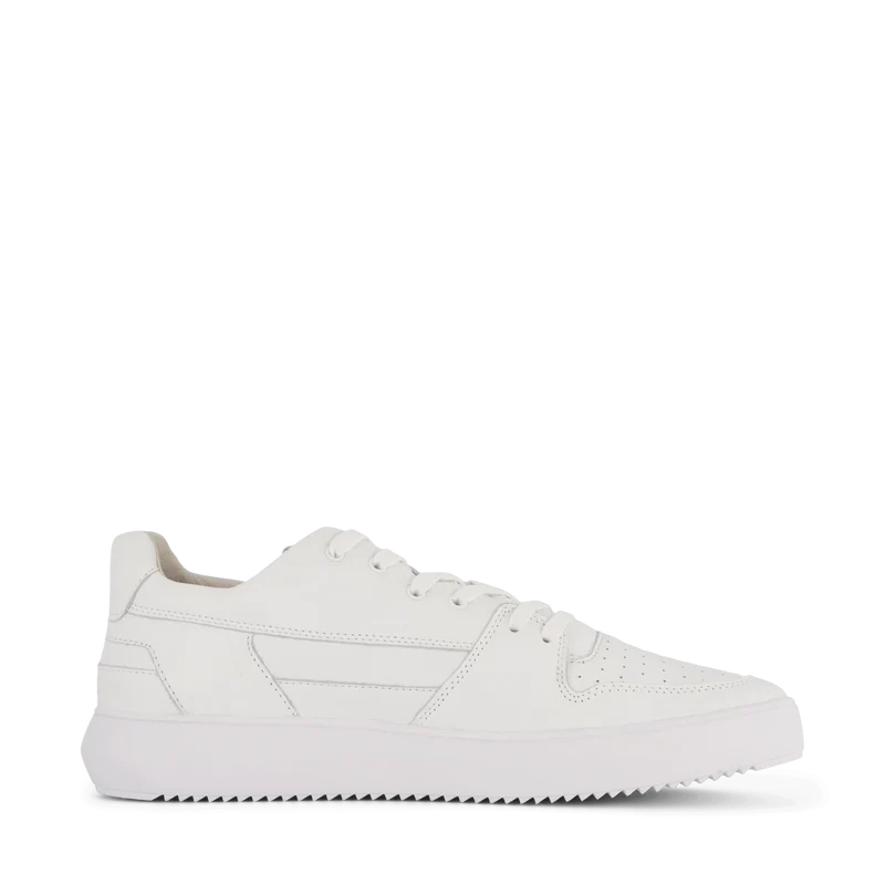 Zg14 White