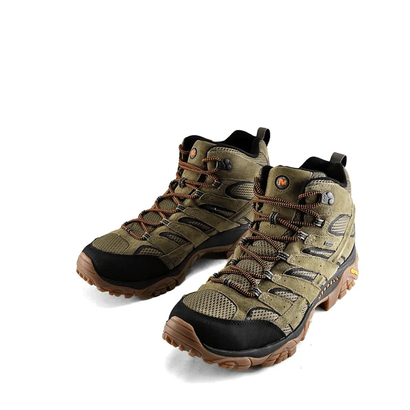Moab 2 Leather Mid Gore-tex Olive