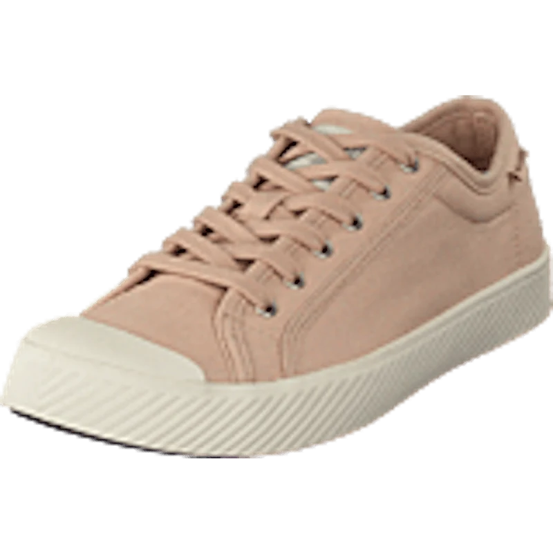 Pallaphoenix Og Cvs Rose Dust