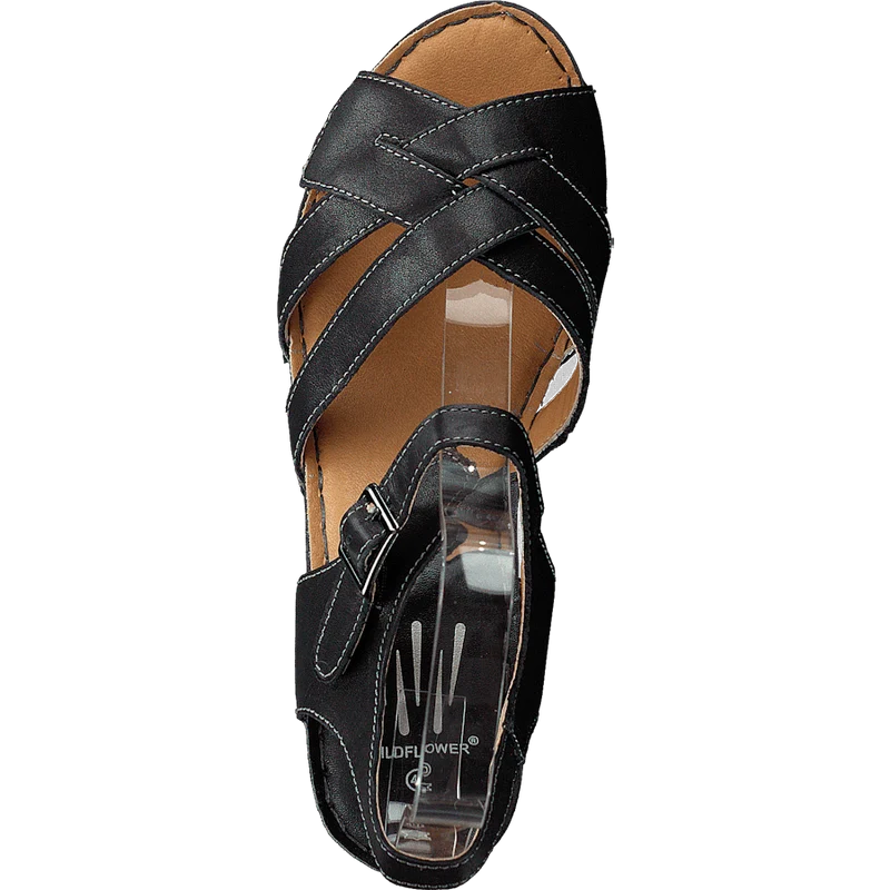 Templer Black