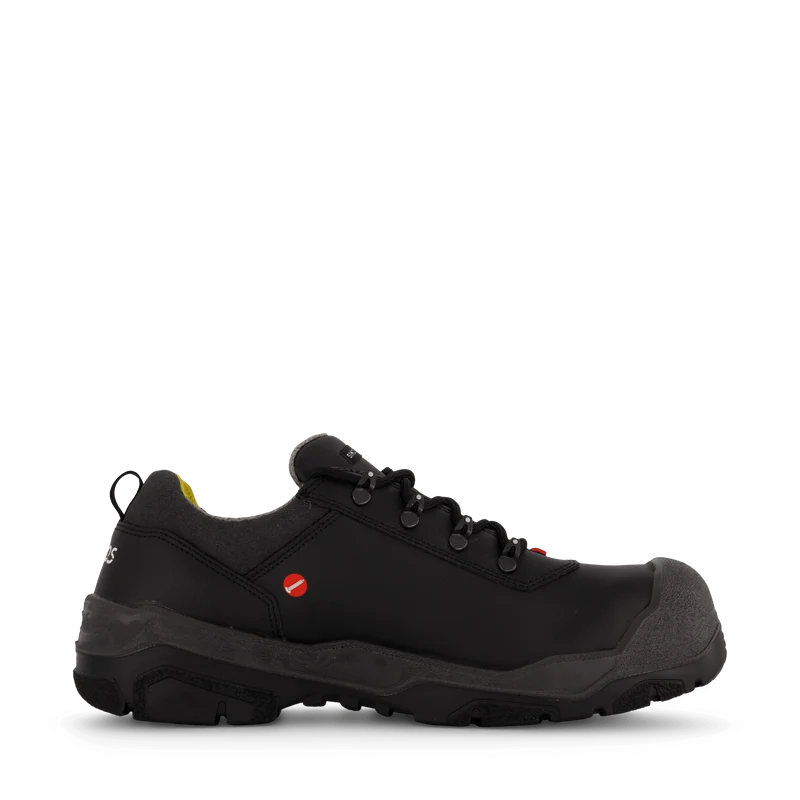 1538 Terra Black