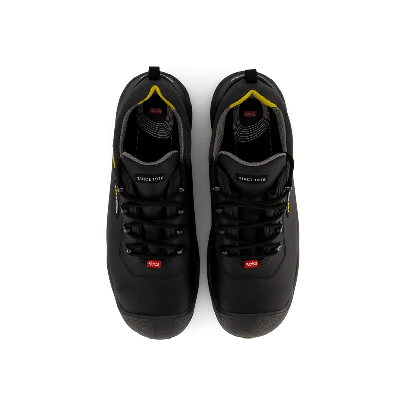 1538 Terra Black
