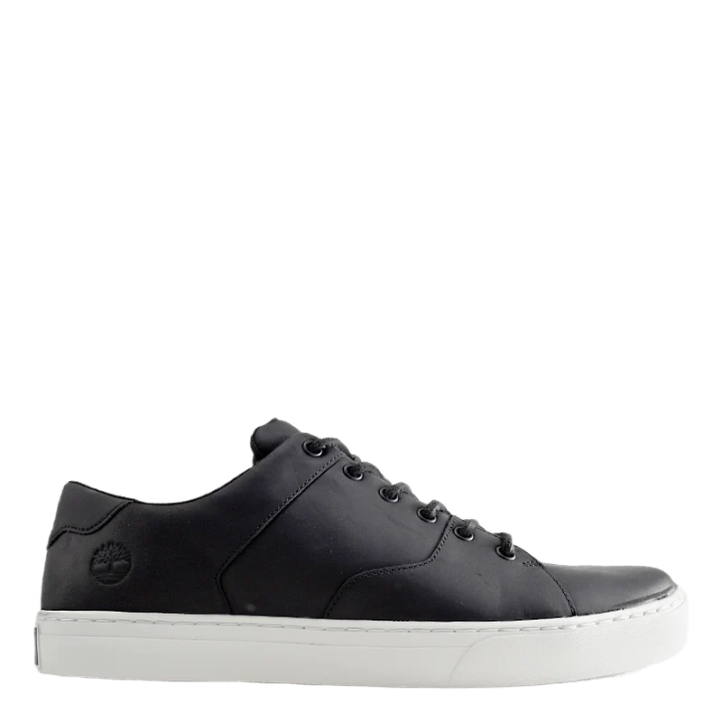 Adventure 2.0 Cupsole Black