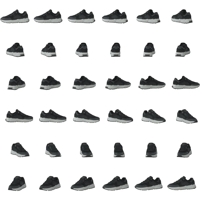 Nicerwill Sneaker Black