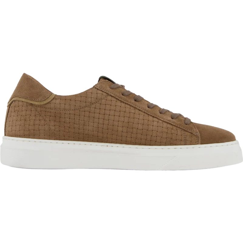 Brian Taupe