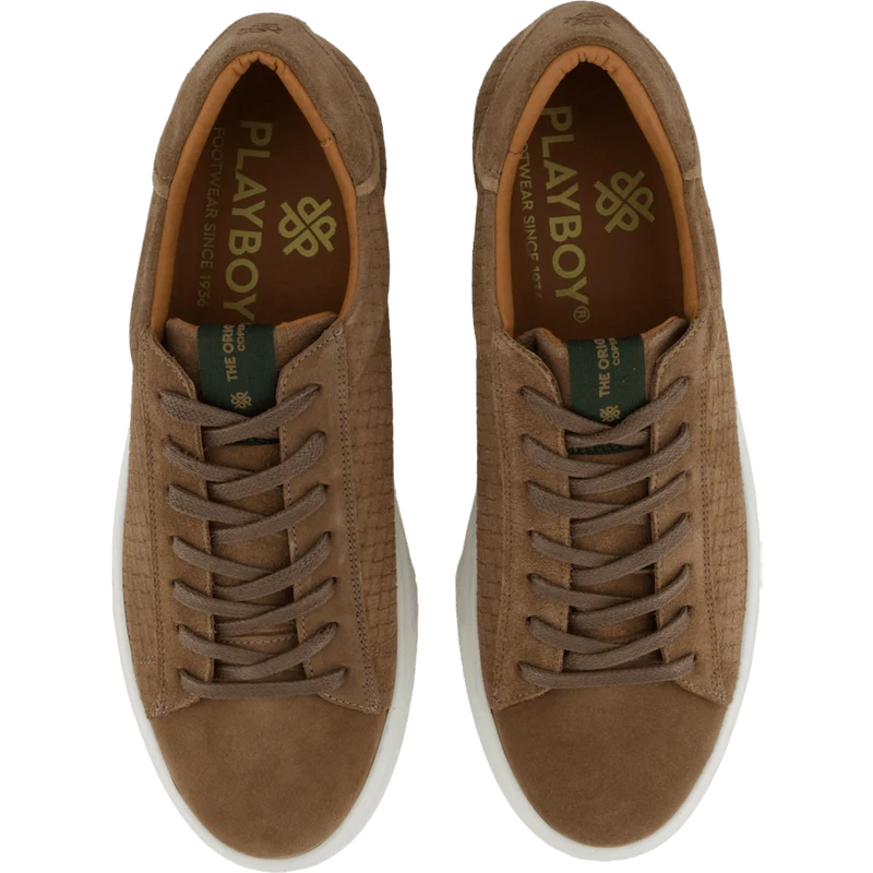 Brian Taupe