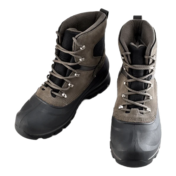 Buxton Lace Major / Black