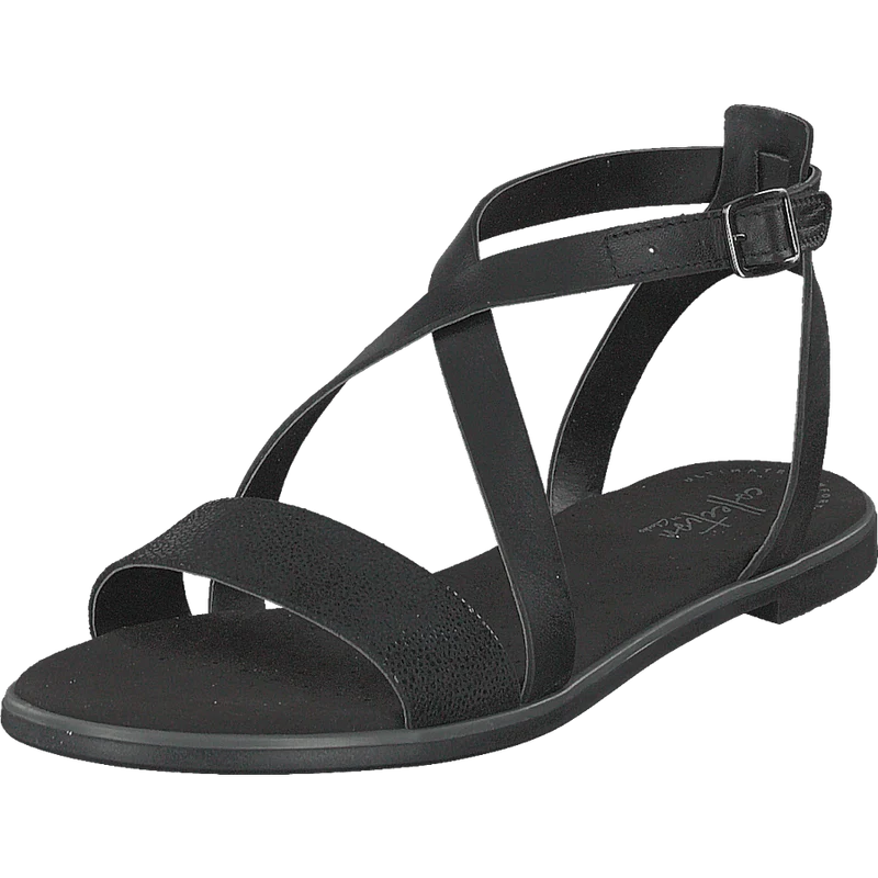 Bay Rose Black Interest