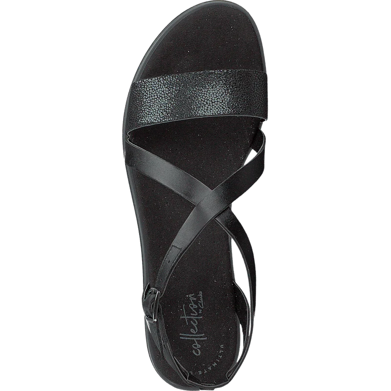 Bay Rose Black Interest
