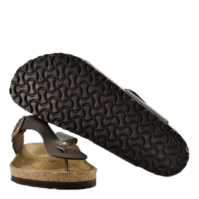 Ramses (normal) Brown