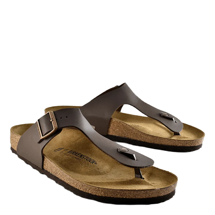 Ramses (normal) Brown