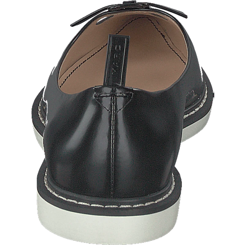 The Mouse Shoe Black