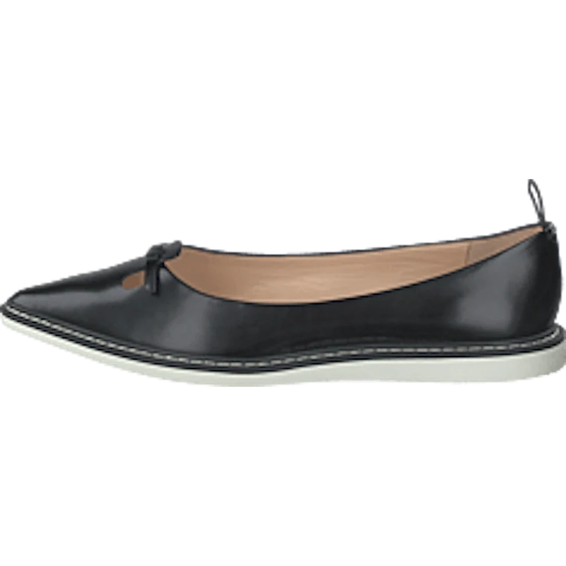 The Mouse Shoe Black