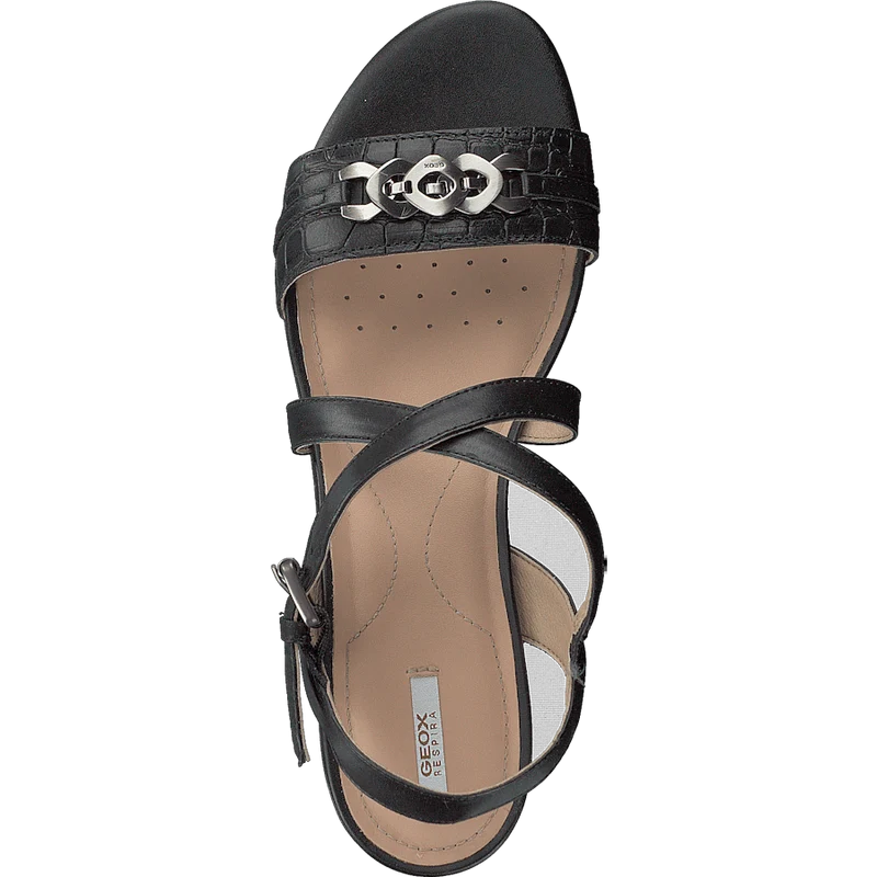 D Marykarmen Black