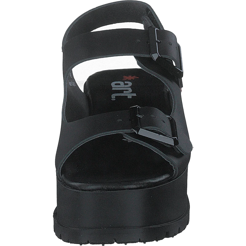 Manchester Black