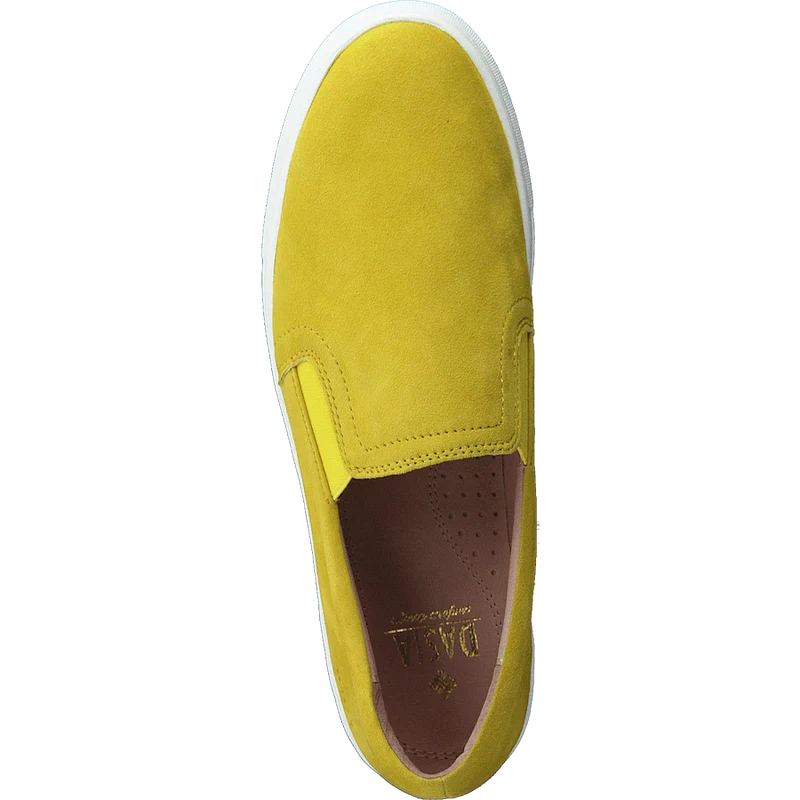 Starlily Yellow