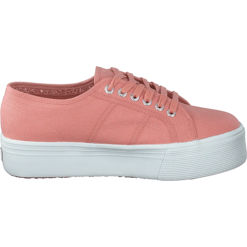 2790 Acotw Linea Rose Lobster